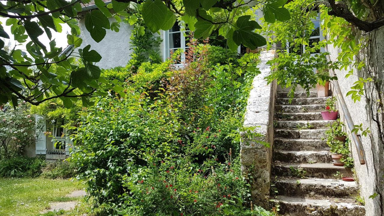 Chambres d'Hotes Les Renardieres Molineuf Extérieur photo