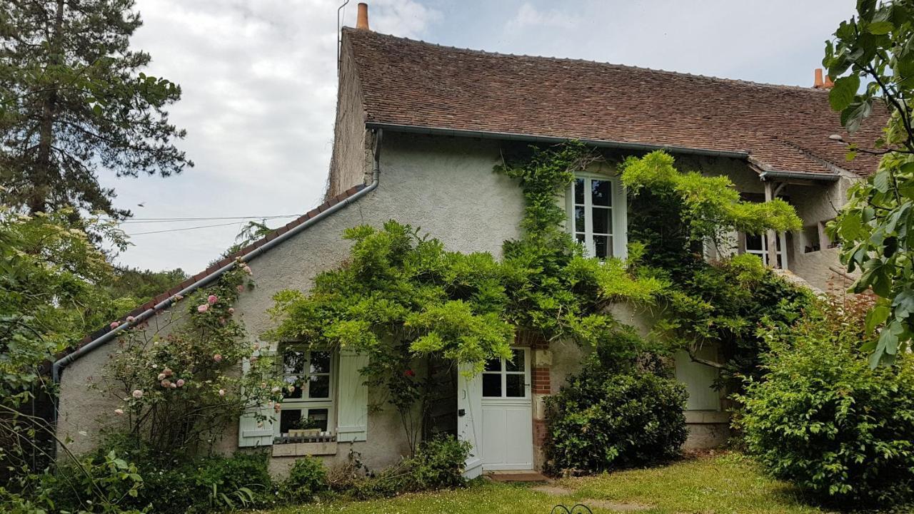 Chambres d'Hotes Les Renardieres Molineuf Extérieur photo