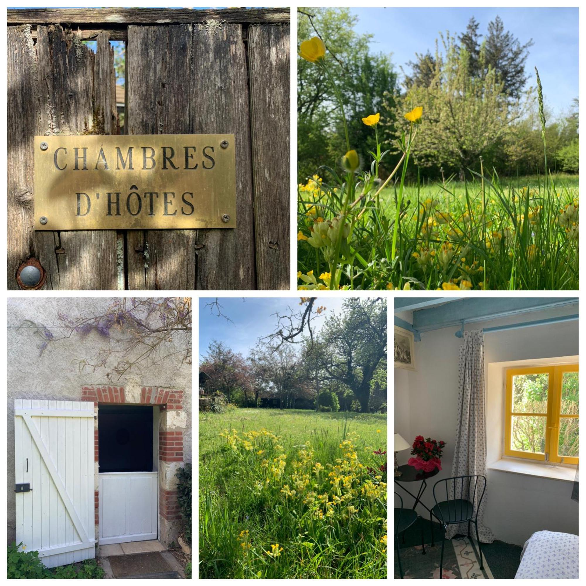 Chambres d'Hotes Les Renardieres Molineuf Extérieur photo